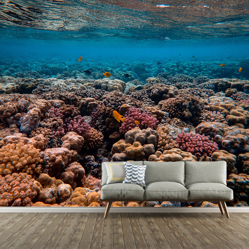 Underwater Environment Friendly Photography Wallpaper Indoor Room Wall Mural