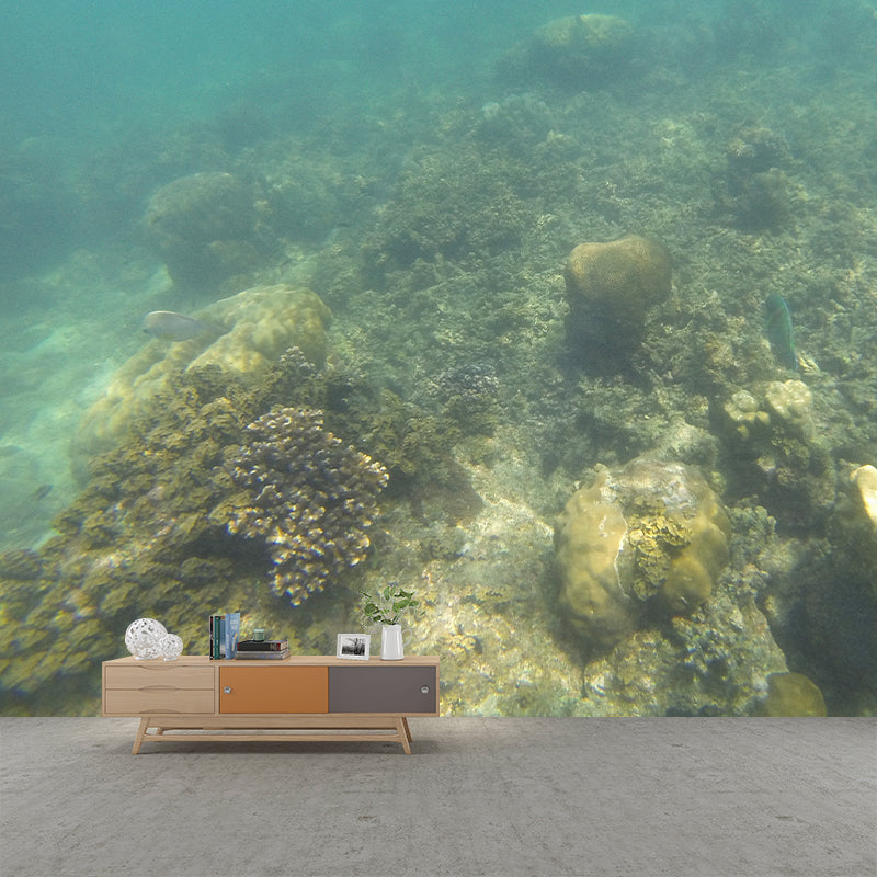 Decorative Stain Resistant Mural Wallpaper Underwater Living Room Wall Mural