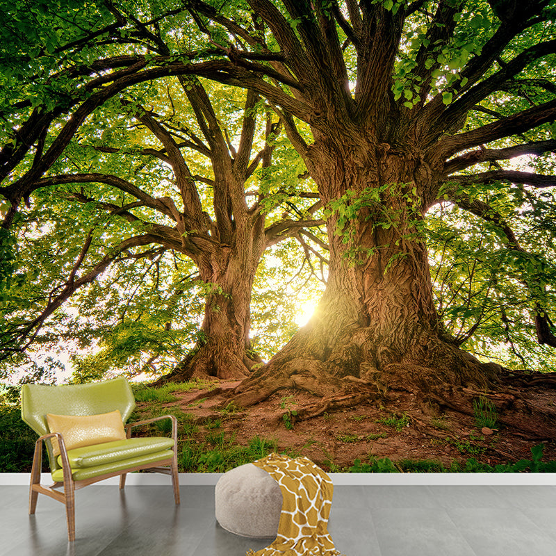 Decorative Forest Photography Wall Mural Sitting Room Wallpaper