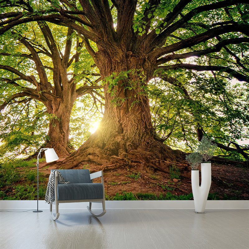 Decorative Forest Photography Wall Mural Sitting Room Wallpaper