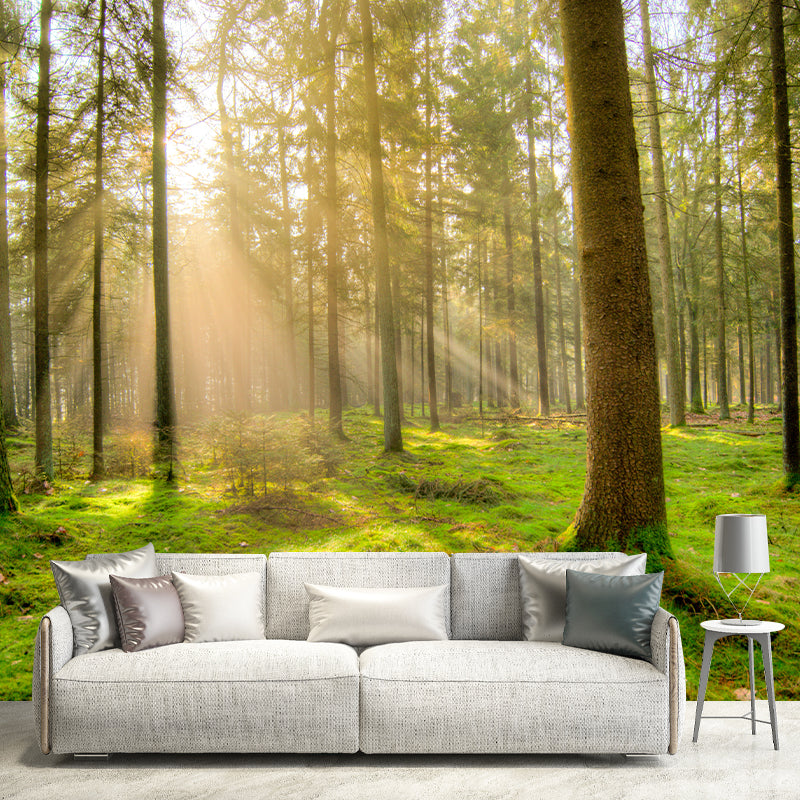 Photography Environment Friendly Wallpaper Forest Bedroom Mural Wallpaper