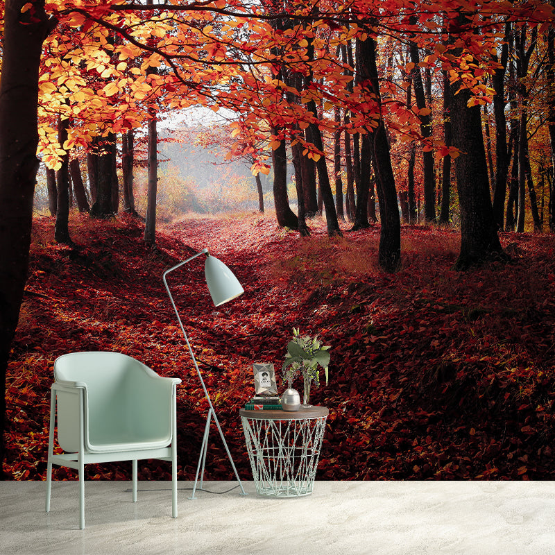 Eco-friendly Forest Photography Mural Wallpaper Sitting Room Wallpaper