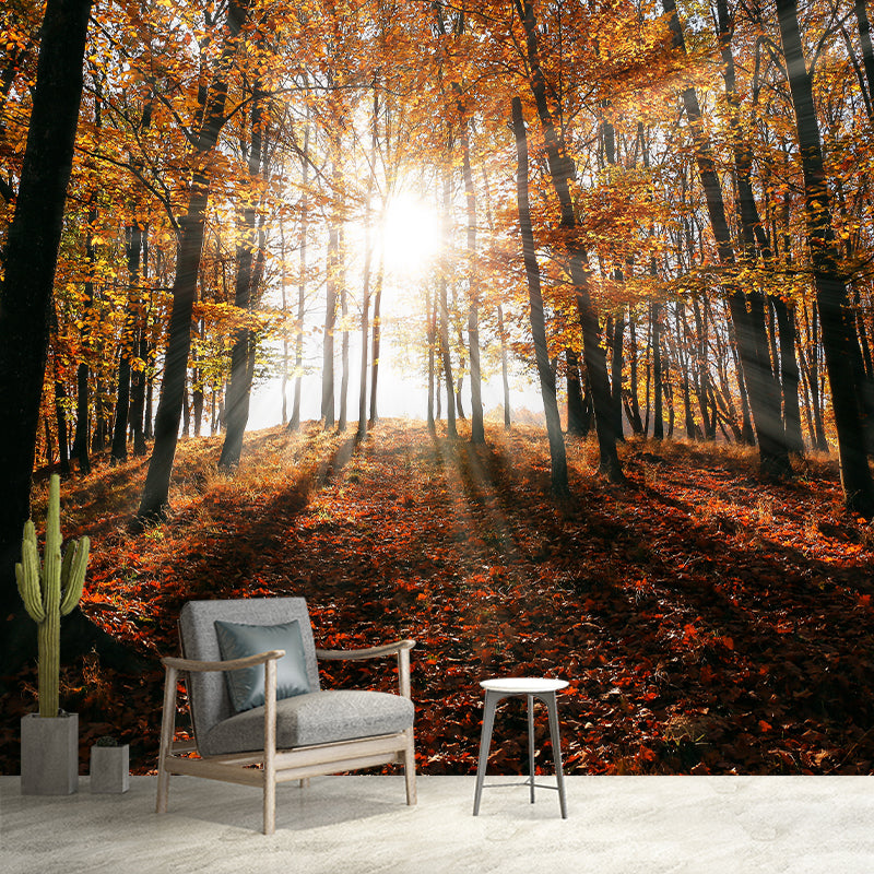 Eco-friendly Forest Photography Mural Wallpaper Sitting Room Wallpaper