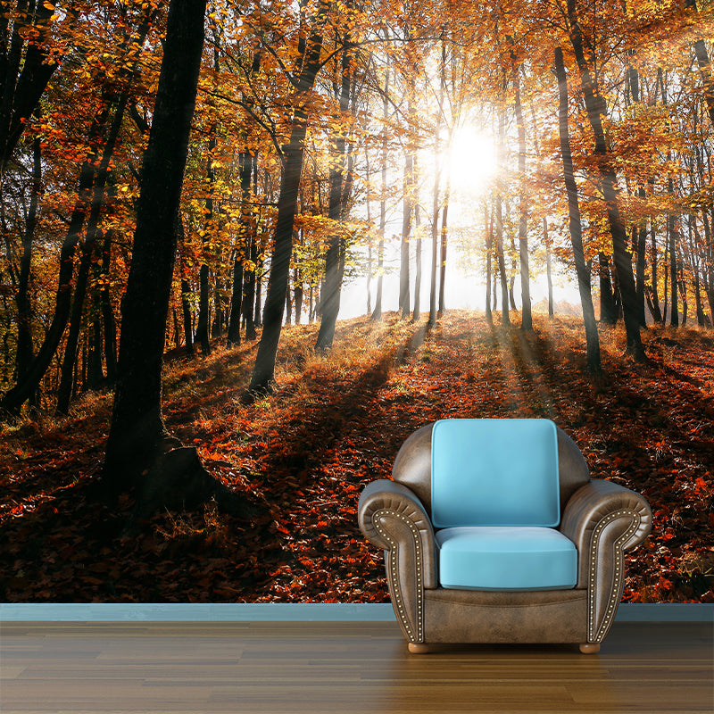 Eco-friendly Forest Photography Mural Wallpaper Sitting Room Wallpaper