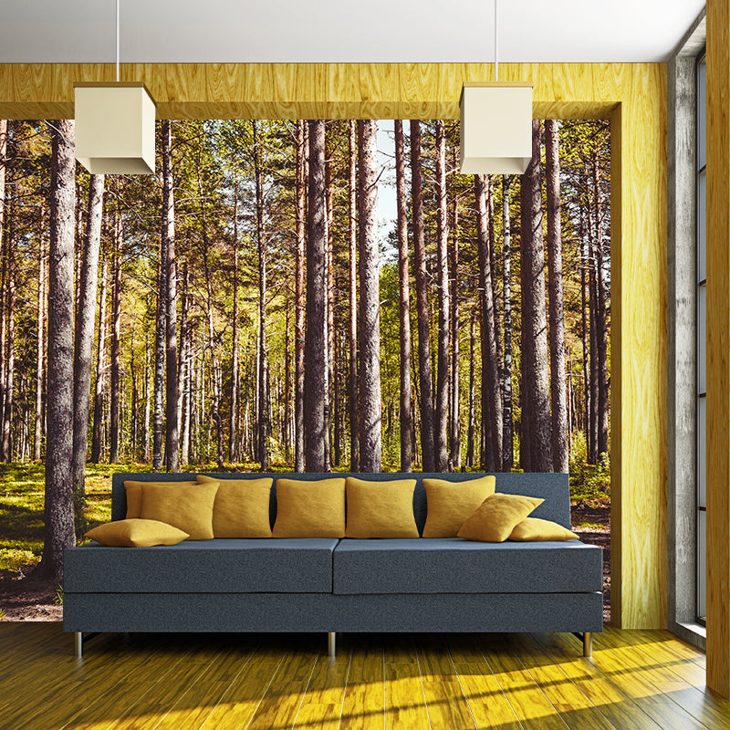 Eco-friendly Forest Photography Mural Wallpaper Sitting Room Wallpaper