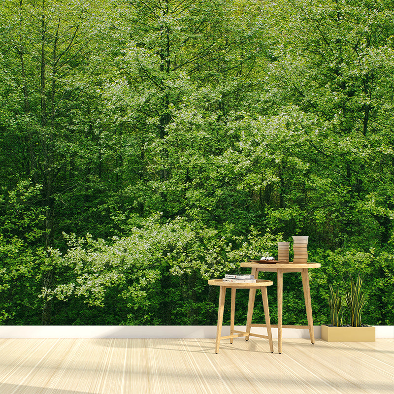 Environment Friendly Photography Forest Wallpaper Home Decor Mural Wallpaper