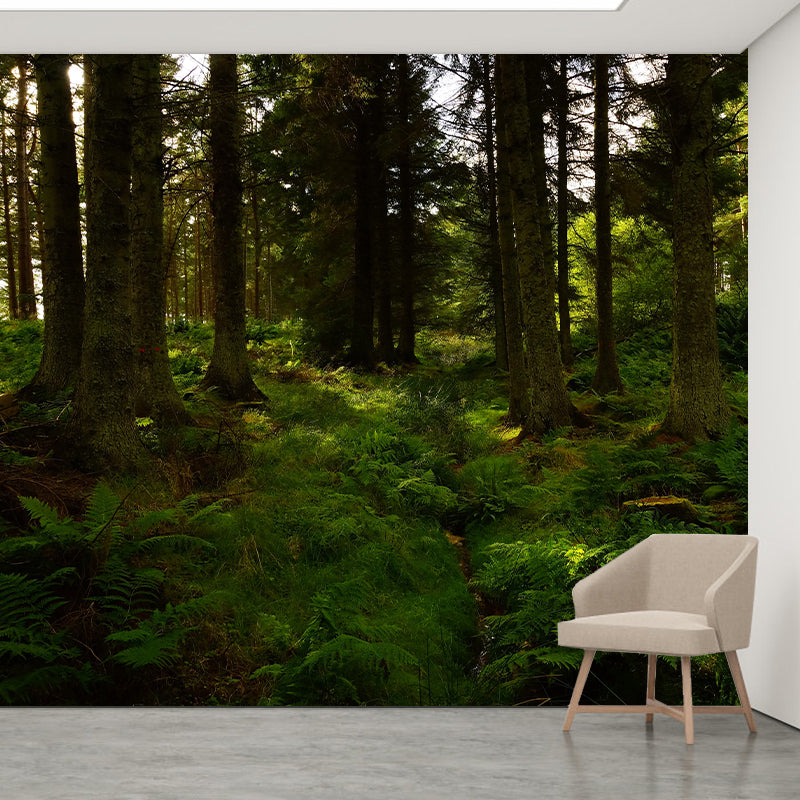 Photography Mildew Resistant Mural Wallpaper Forest Living Room Wall Mural