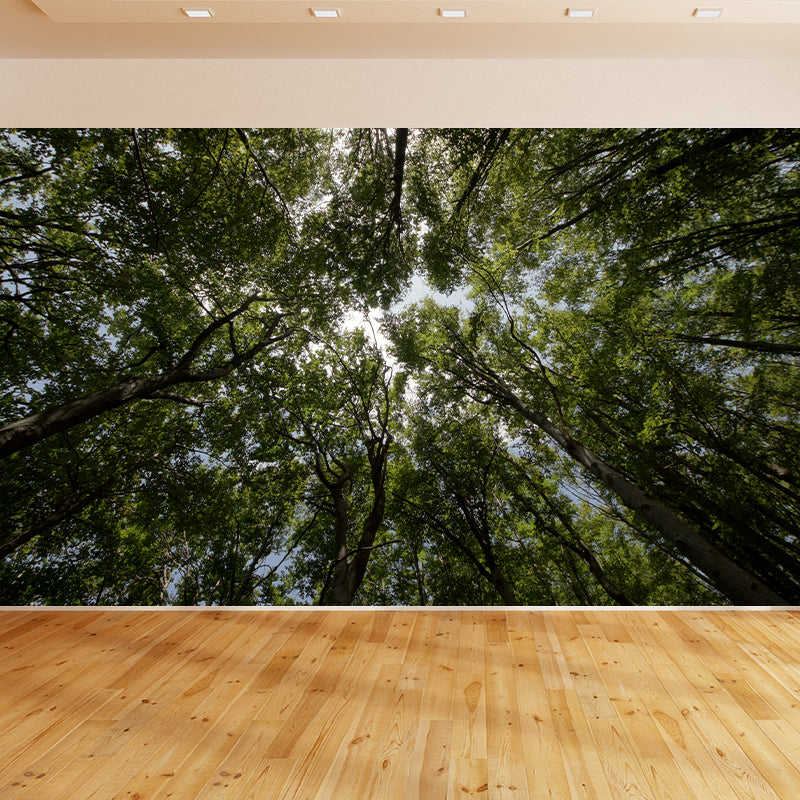 Photography Mildew Resistant Mural Wallpaper Forest Living Room Wall Mural