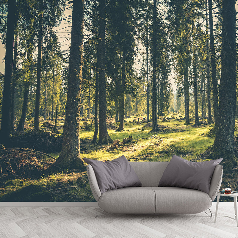 Photography Mildew Resistant Mural Wallpaper Forest Living Room Wall Mural