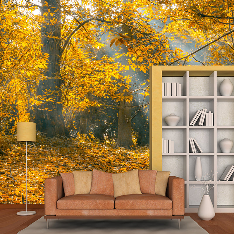Eco-friendly Photography Forest Wallpaper Living Room Mural Wallpaper