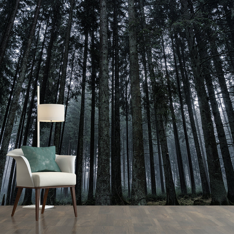 Forest Photography Wallpaper Modern Drawing Room Mural Wallpaper