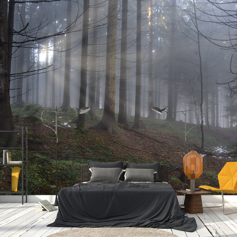 Photography Environmental Wallpaper Forest Living Room Mural Wallpaper