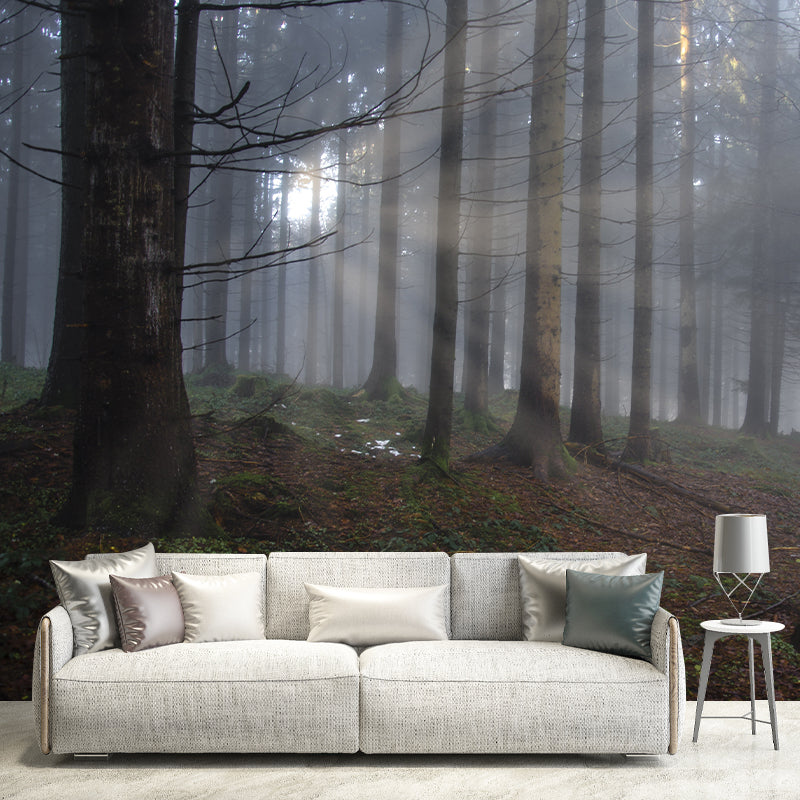 Photography Environmental Wallpaper Forest Living Room Mural Wallpaper