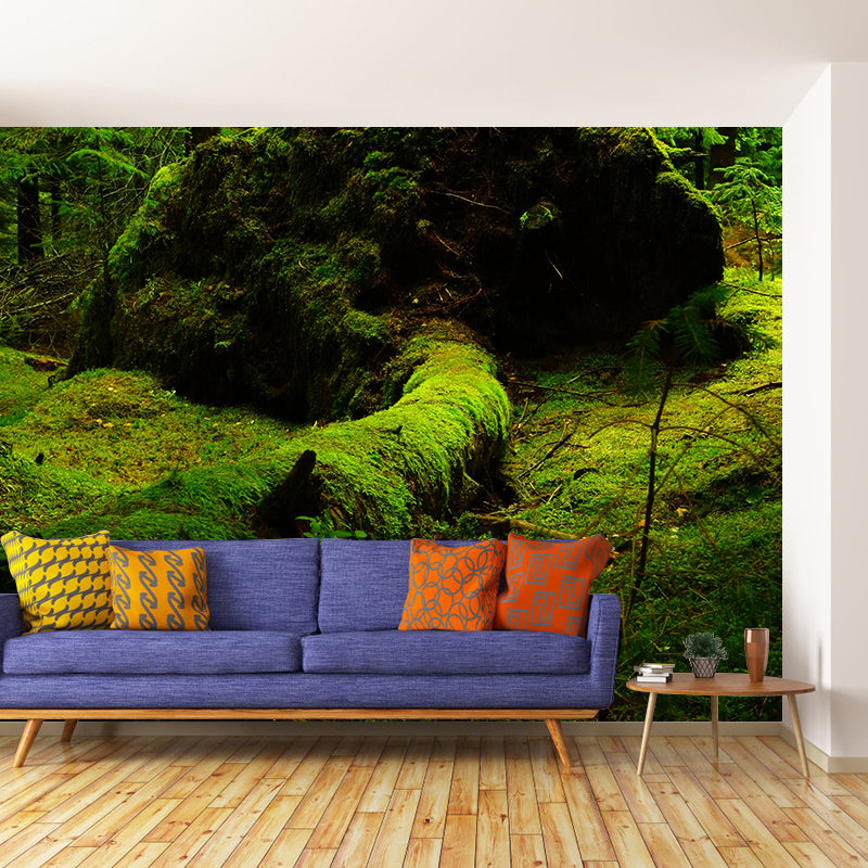 Eco-friendly Photography Forest Wall Mural Drawing Room Mural Wallpaper