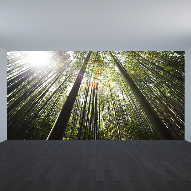 Eco-friendly Photography Forest Wall Mural Drawing Room Mural Wallpaper