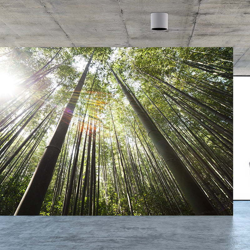 Eco-friendly Photography Forest Wall Mural Drawing Room Mural Wallpaper