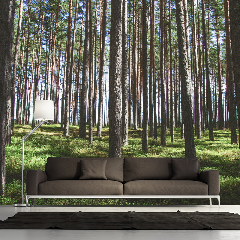 Decorative Photography Wallpaper Forest Sitting Room Mural Wallpaper