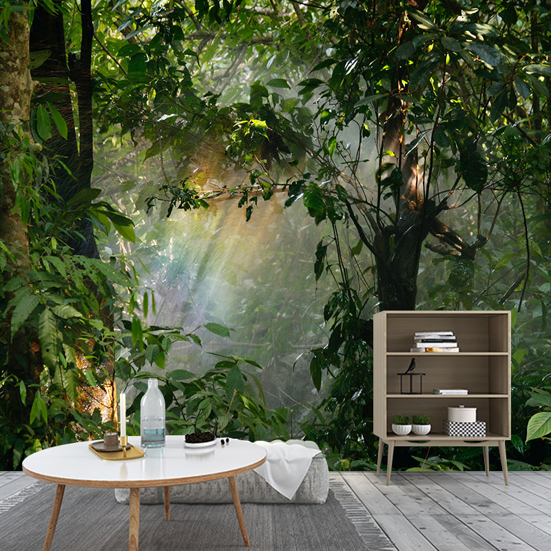 Environment Friendly Forest Photography Wallpaper Home Decor Mural Wallpaper