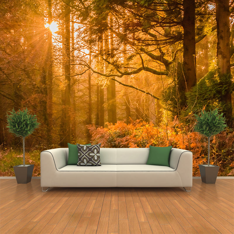 Environment Friendly Forest Photography Wallpaper Home Decor Mural Wallpaper