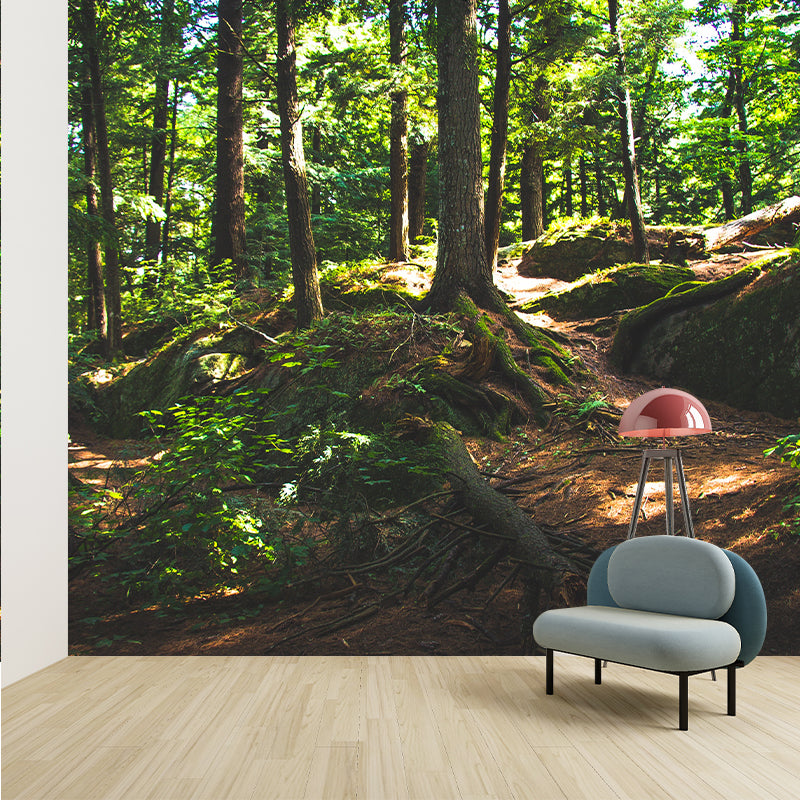 Environment Friendly Forest Photography Wallpaper Home Decor Mural Wallpaper