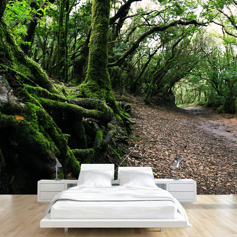 Photography Environmental Forest Wall Mural Living Room Mural Wallpaper