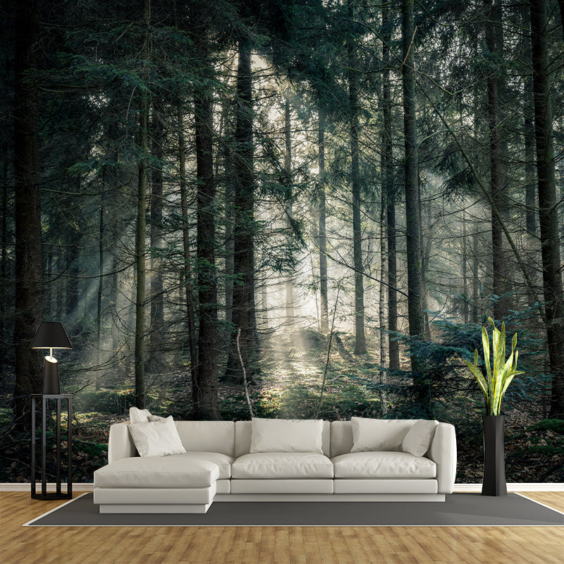 Decorative Mildew Resistant Photography Wallpaper Forest Mural Wallpaper