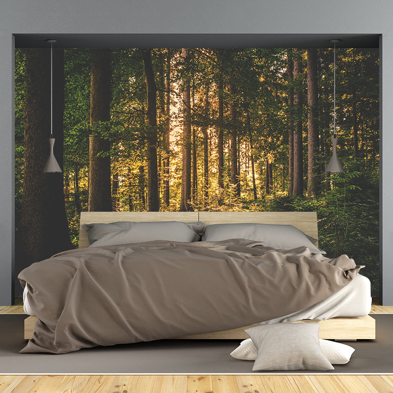 Decorative Mildew Resistant Photography Wallpaper Forest Mural Wallpaper