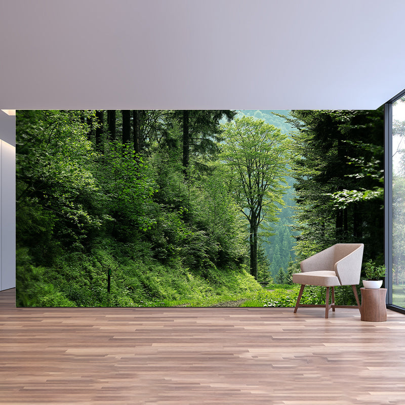 Decorative Mildew Resistant Photography Wallpaper Forest Mural Wallpaper