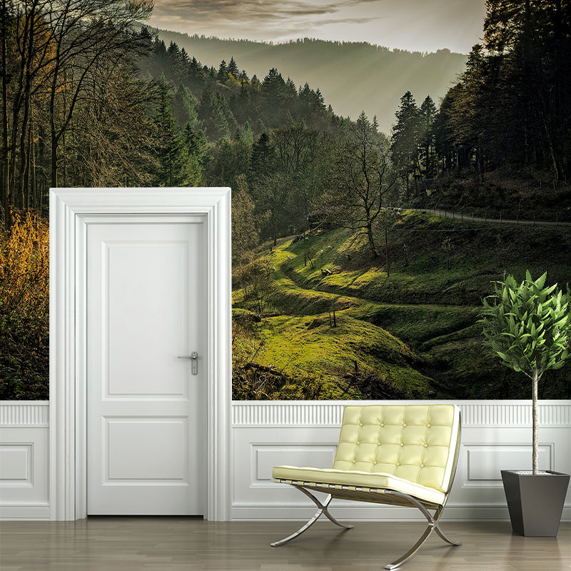 Decorative Mildew Resistant Photography Wallpaper Forest Mural Wallpaper