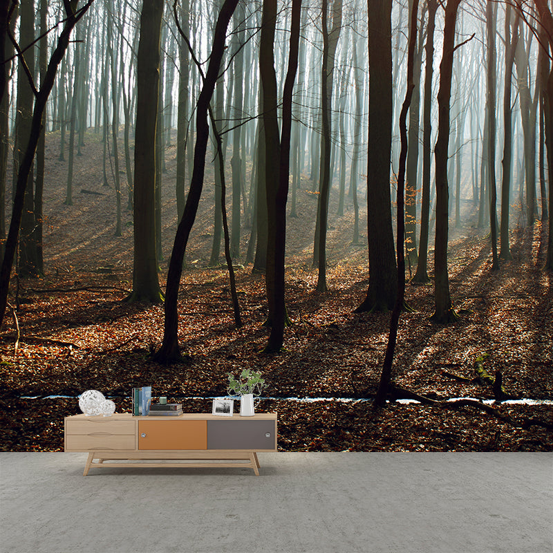 Forest Photography Stain Resistant Wallpaper Living Room Wallpaper