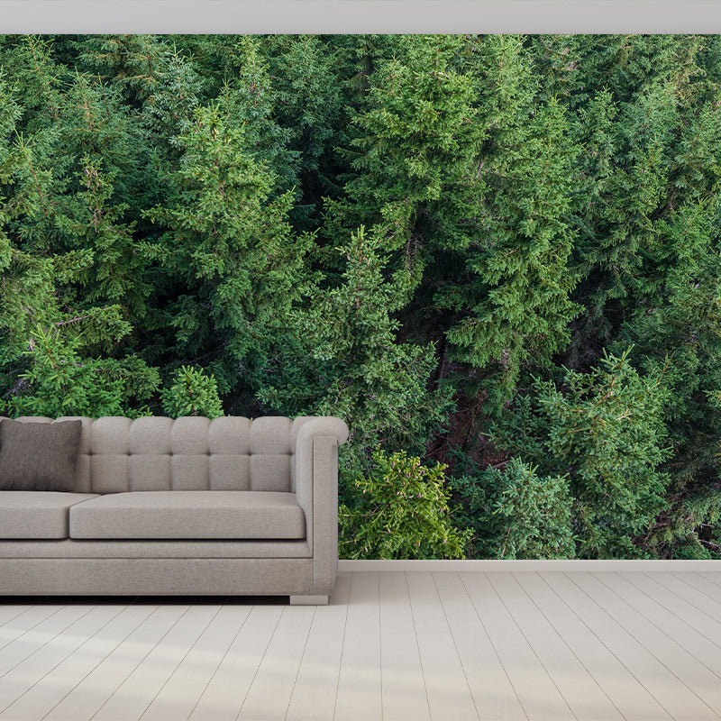 Forest Photography Stain Resistant Wallpaper Living Room Wallpaper