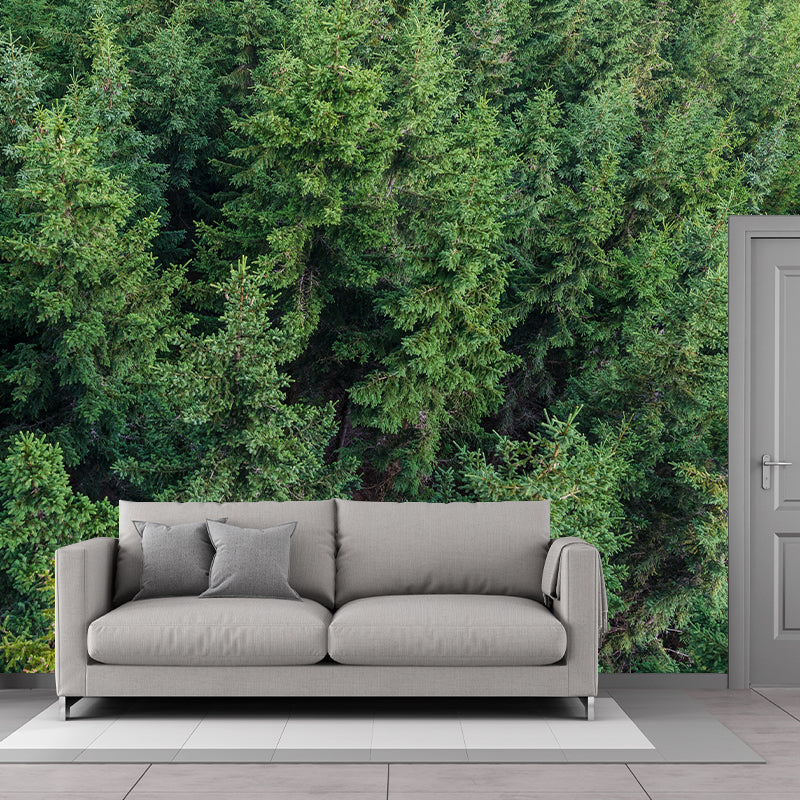 Forest Photography Stain Resistant Wallpaper Living Room Wallpaper