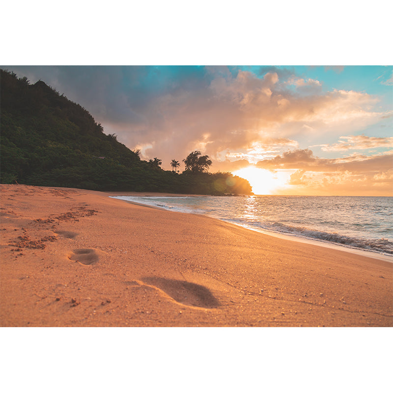 Photography Decorative Modern Sea Beach Wallpaper Indoor Room Wallpaper