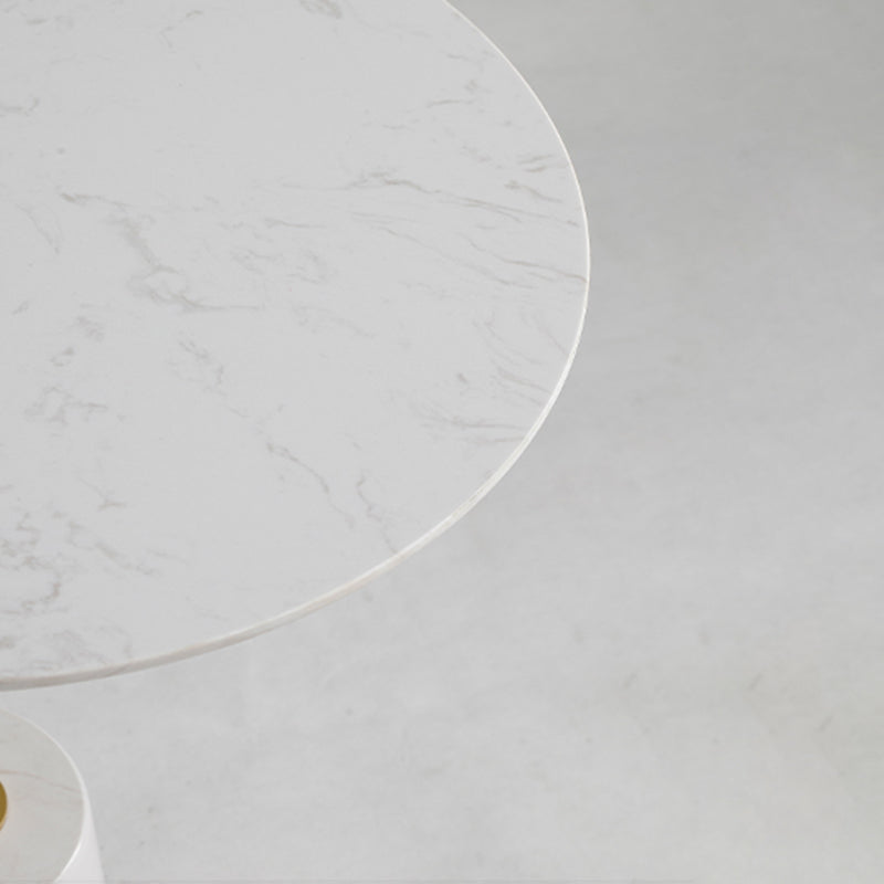 Contemporary  Pedestal End Table Metal Side Table  for Bedroom