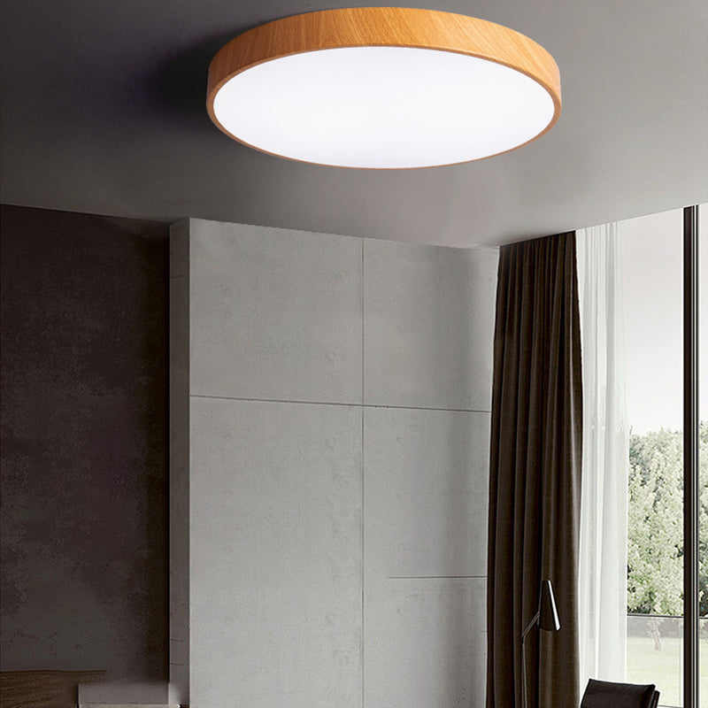 Modern Style Circle Shape Ceiling Lighting Metal 1 Light Ceiling Lighting for Living Room