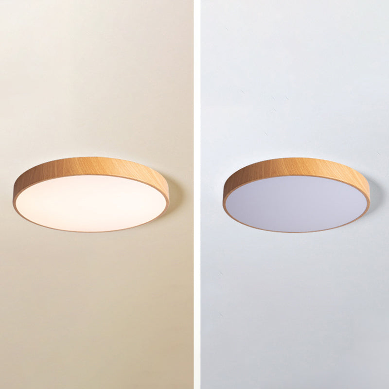 Modern Style Circle Shape Ceiling Lighting Metal 1 Light Ceiling Lighting for Living Room