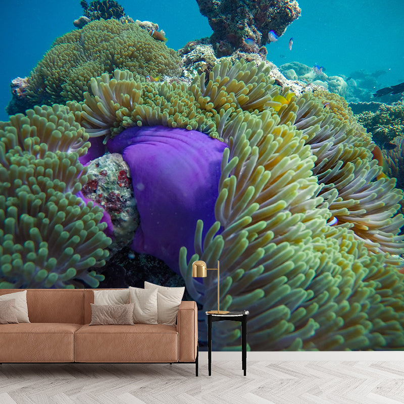 Decorative Modern Photography Wallpaper Undersea Home Decoration Wall Mural