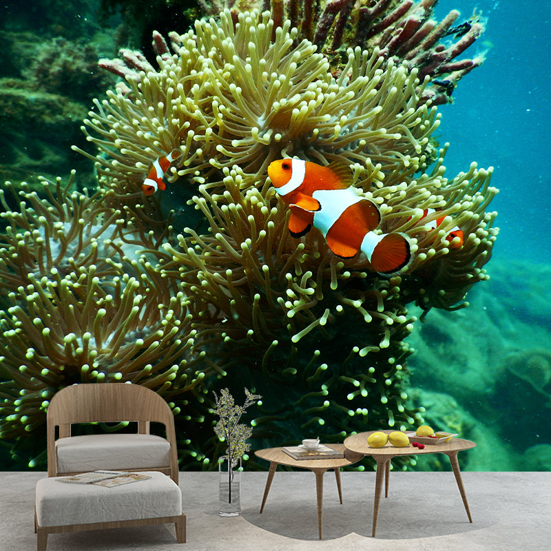 Environmental Photography Wallpaper Underwater Sitting Room Wallpaper