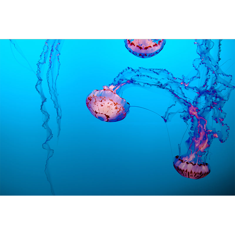 Photography Modern Style Wallpaper Underwater Home Decor Wall Mural