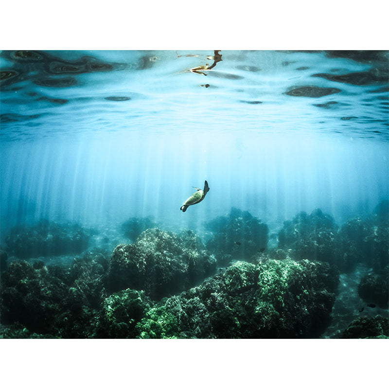 Environment Friendly Photography Wallpaper Underwater Living Room Wall Mural