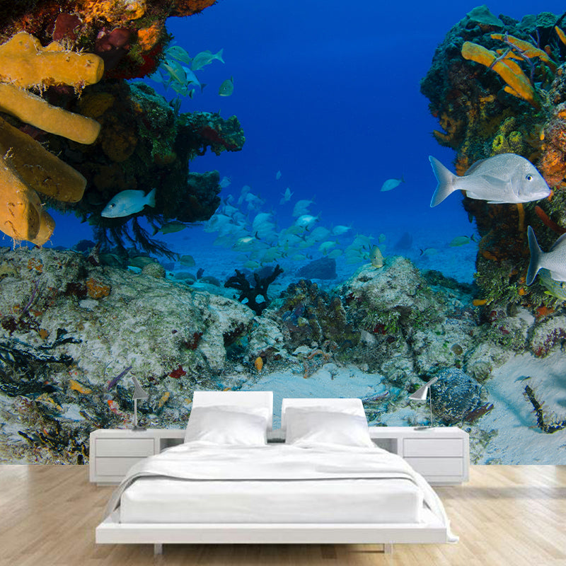 Photography Stain Resistant Wallpaper Undersea Home Decor Wall Mural