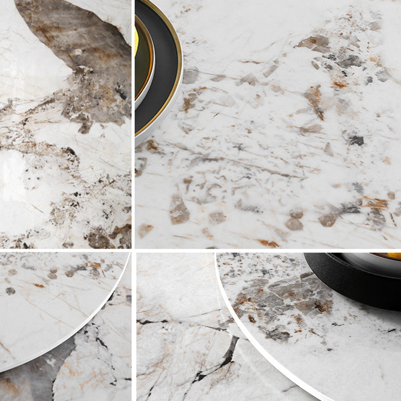 Round Sintered Stone Dining Table Stone Table in White with Pedestal