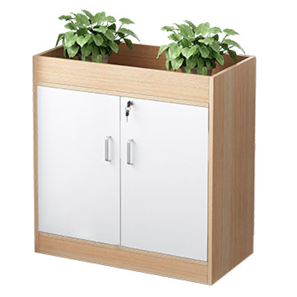 Wooden Bookcase with Doors Contemporary Bookshelf for Home Office