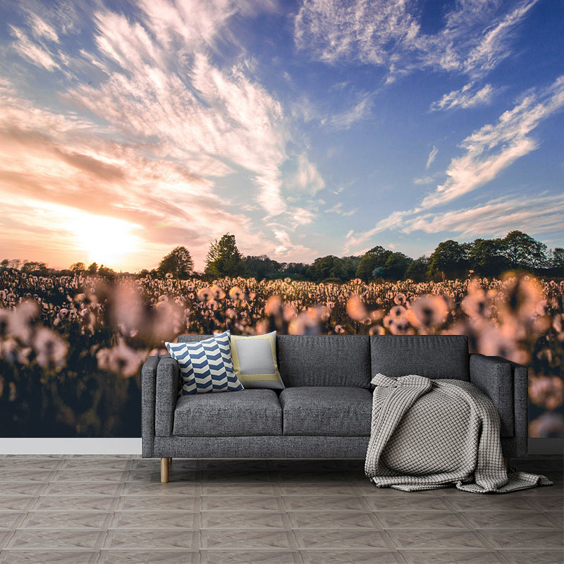 Photography Stain Resistant Sky Mural Wallpaper Home Decor Wallpaper
