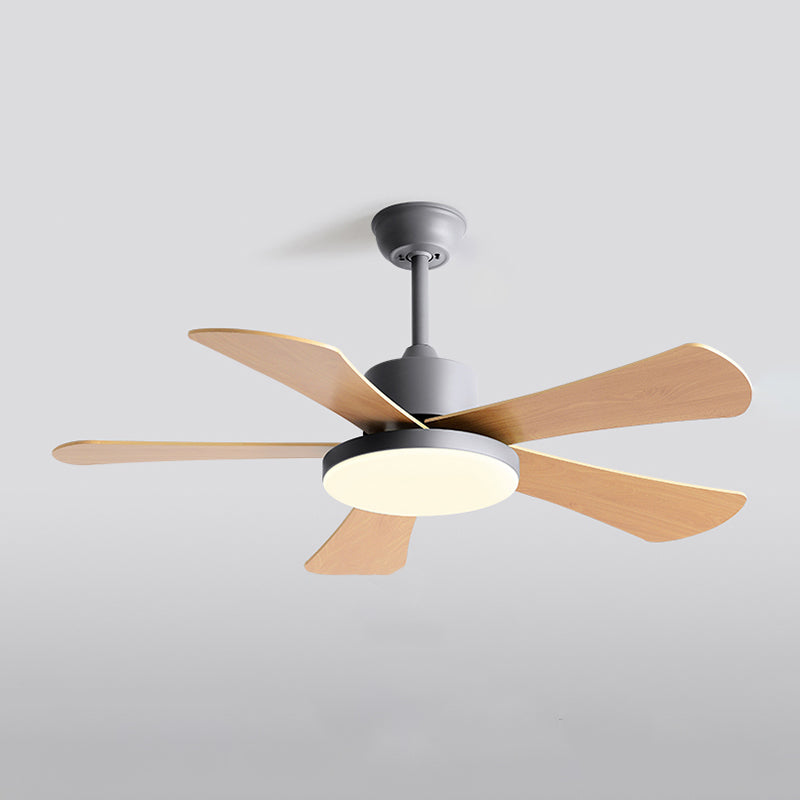 Metal Ceiling Fan Light Modern Style 1 Light Ceiling Fan Lamp for Bedroom