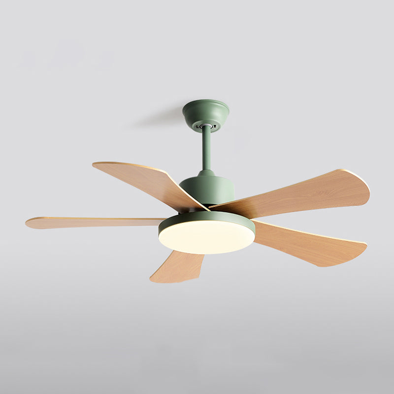 Metal Ceiling Fan Light Modern Style 1 Light Ceiling Fan Lamp for Bedroom