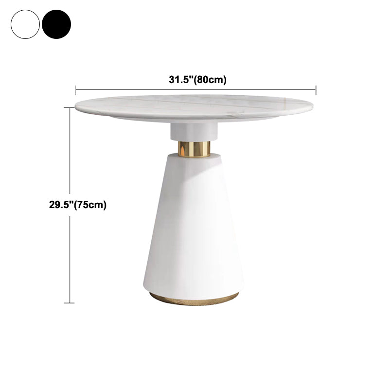 Sintered Stone Dining Table Modern Dining Room Table with Pedestal Base