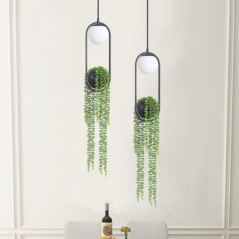 Industrial Global Plant Hanging Light 1 Bulb Metal LED Ceiling Suspension Lamp in Black