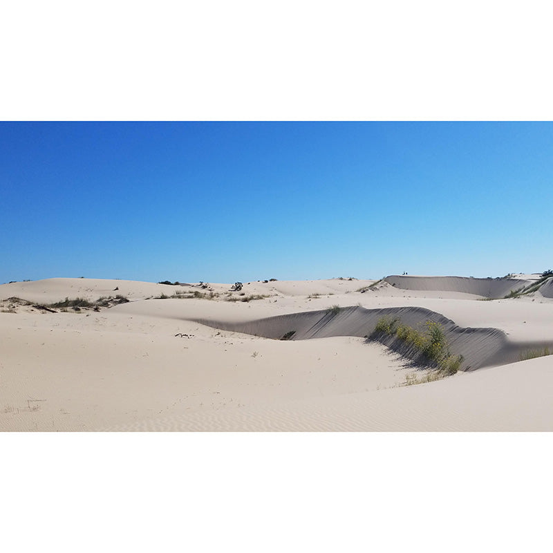 Photography Environment Friendly Wall Mural Desert Living Room Wallpaper