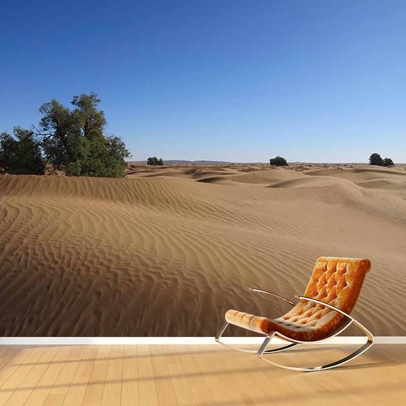 Photography Stain Resistant Desert Wallpaper Drawing Room Wall Mural
